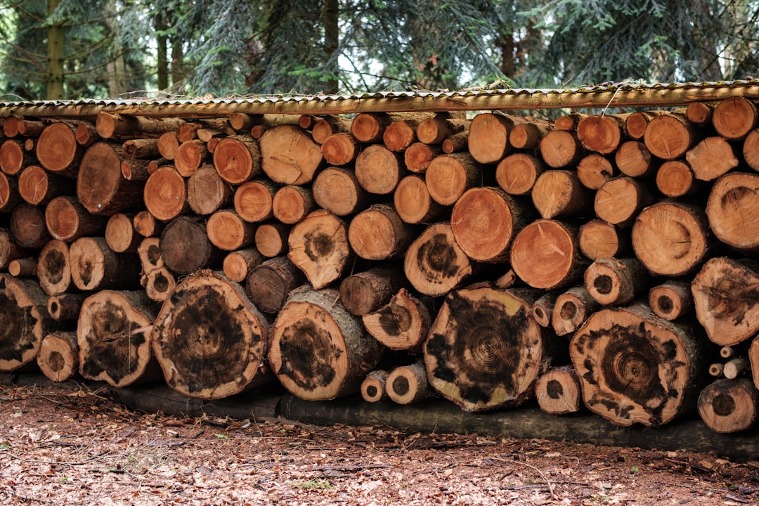 Article preview: Structured Logging in Go: Patterns for Production Services